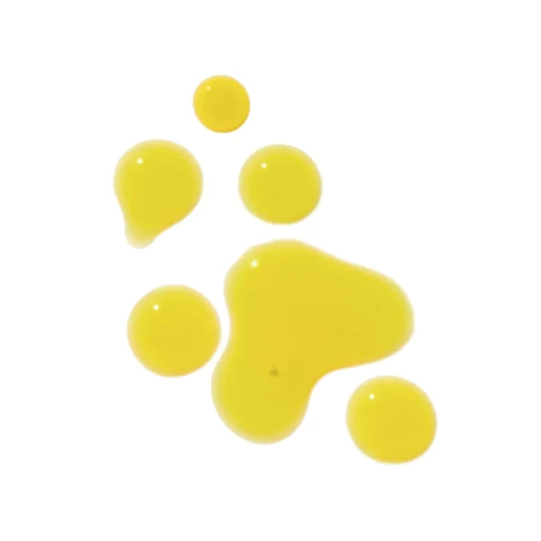 yellow oil droplets