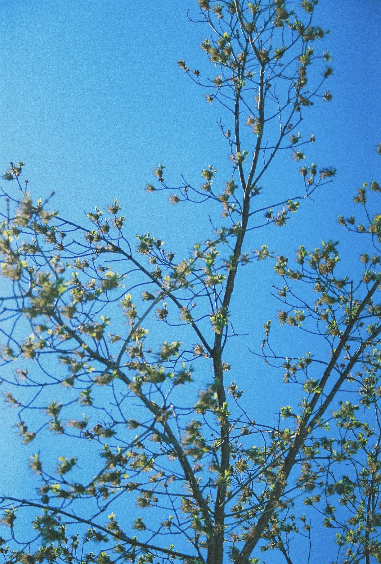 Reading the Signs – Your Skin in Seasonal Transition