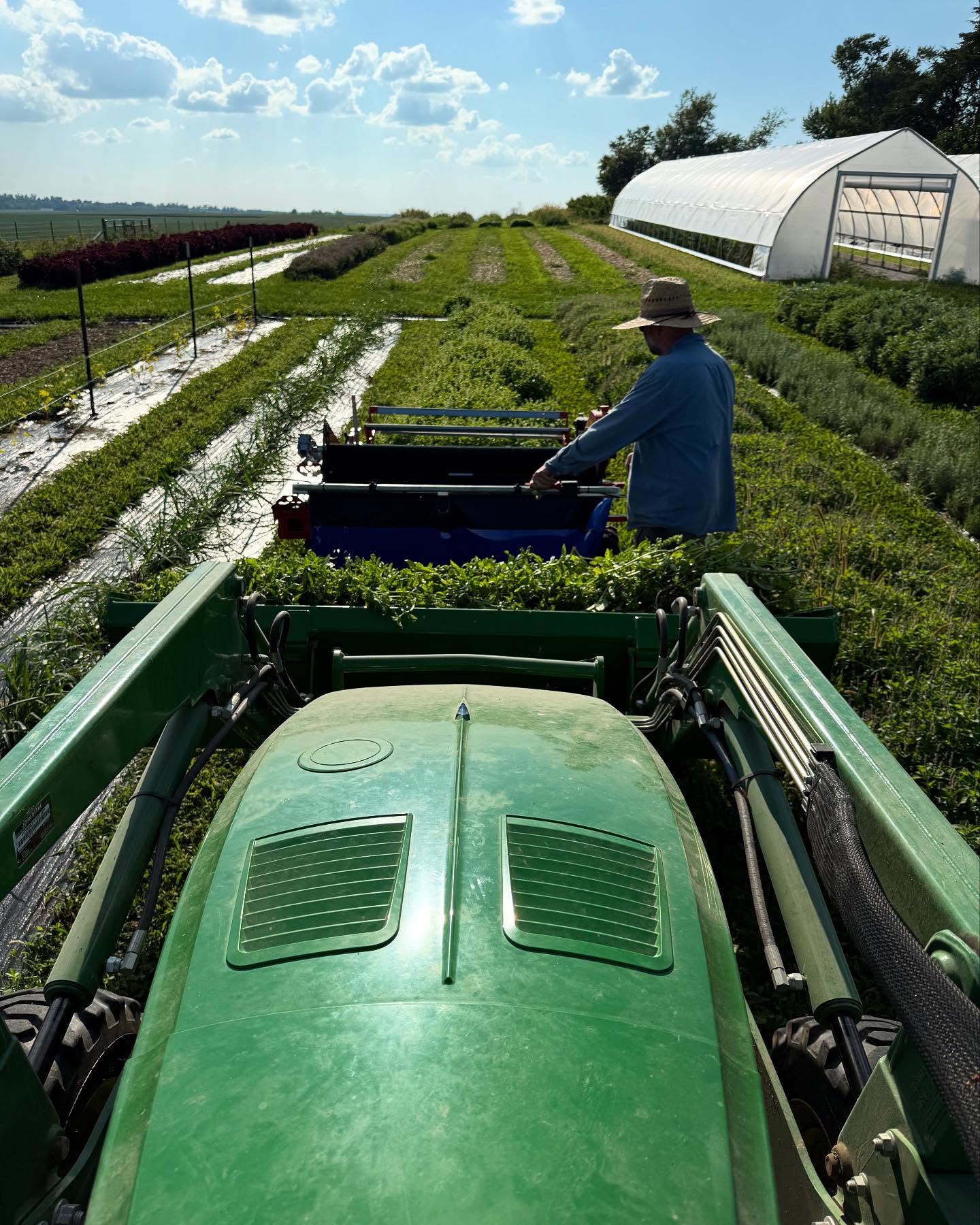 Farmers in a green well tended to field at Rhubarb Botanicals where we do our Botanical sourcing
