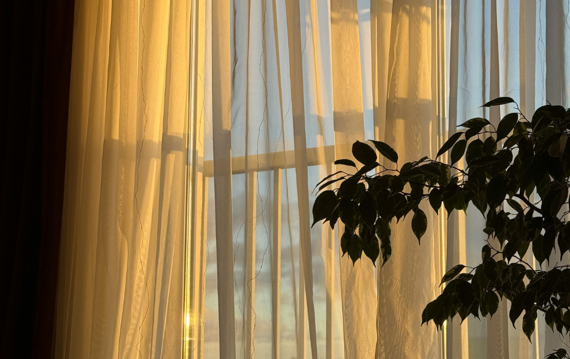 soft morning light coming through a window | morning skincare routine
